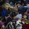 Fotografía: Edu León - Migrar es tocar tierra (02) 